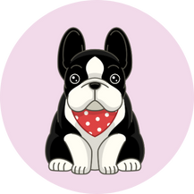 病気になったり、皮膚があれたり悩みを一緒に