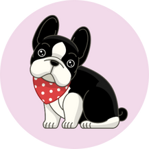 同じ空間で愛犬と一緒に過ごすことができます